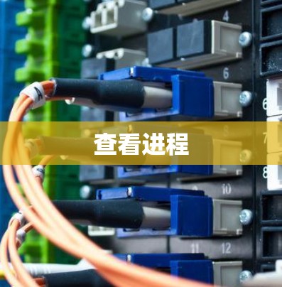 查看进程