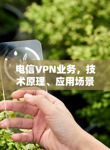 电信VPN业务,技术原理、应用场景与发展趋势 电信VPN业务,技术原理、应用场景与发展趋势