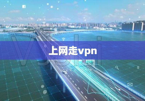 上网走vpn